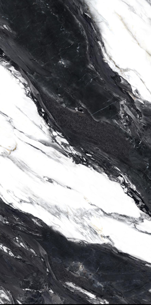SS_T_004BW.png